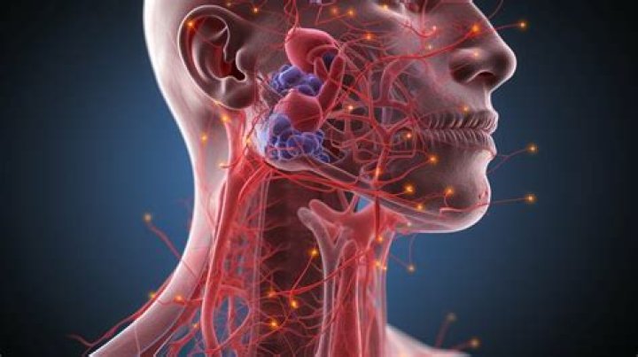 Why node under jaw?
