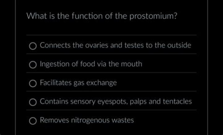 Why prostomium is sensory in function?