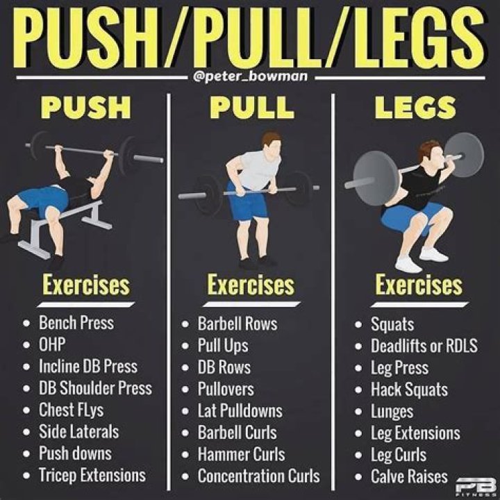 Why push pull legs?