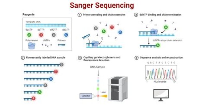 Why sequencing is useful?