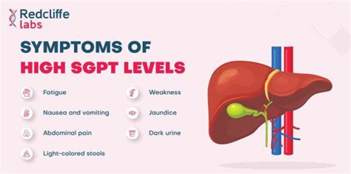 Why sgpt is high?