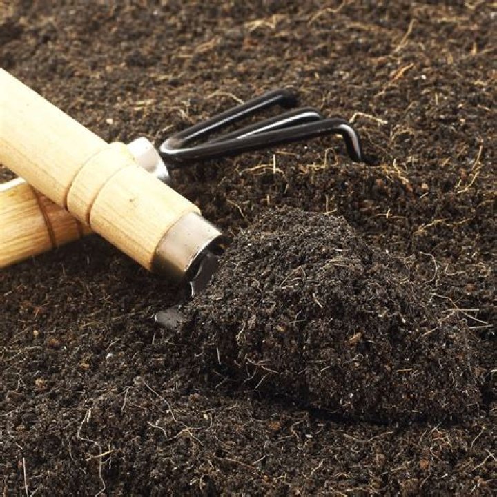 Will grass grow in loam?