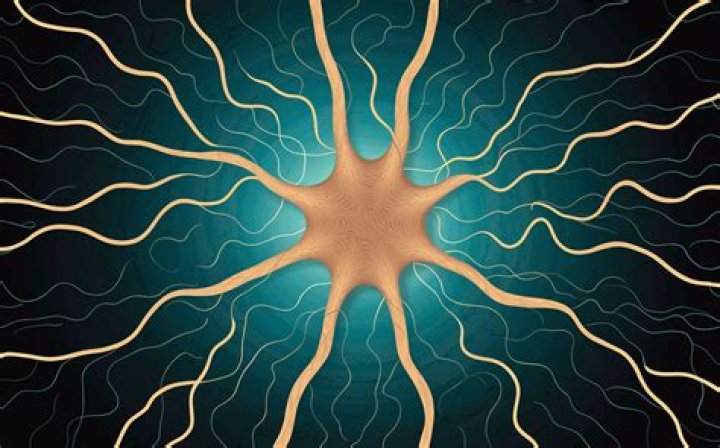 Will severed nerve grow back?