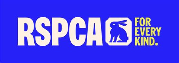 Will the rspca come out for a seagull?