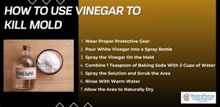 Will vinegar kill a fungus?