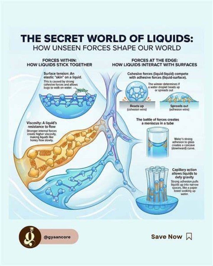 Will water soak upwards?